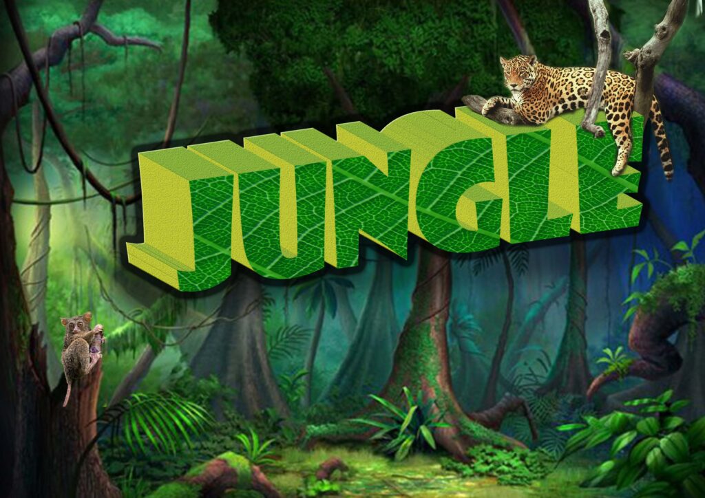 Logo 3D Jungle